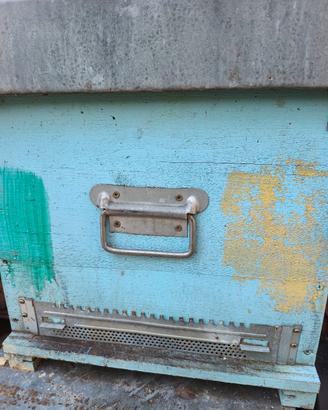 arnie complete da 10 cubo 