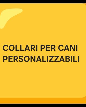 collari per cani personalizzati 