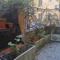 Fioriere con le piante, vasi in cemento da terra