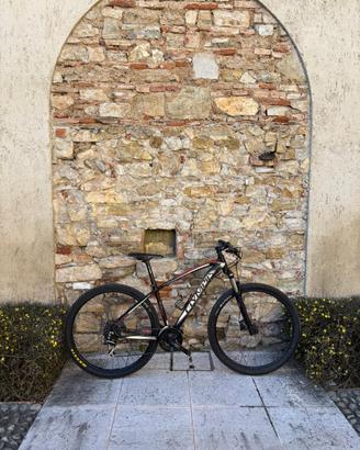 mountan bike olympia