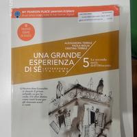 libro UNA GRANDE ESPERIENZA DI SE'