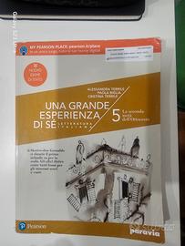 libro UNA GRANDE ESPERIENZA DI SE'