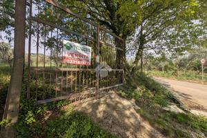 TER. AGRICOLO A CONCA DELLA CAMPANIA