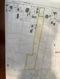 Terreno agricolo a Zelarino (VE) 13900mq