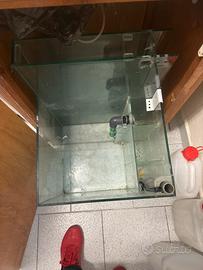 Acquario marino e dolce