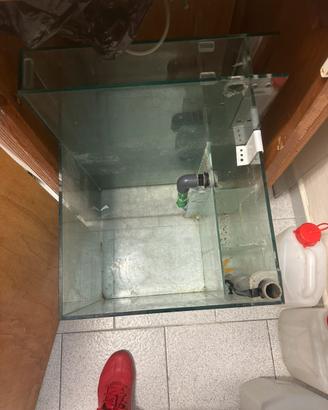 Acquario marino e dolce