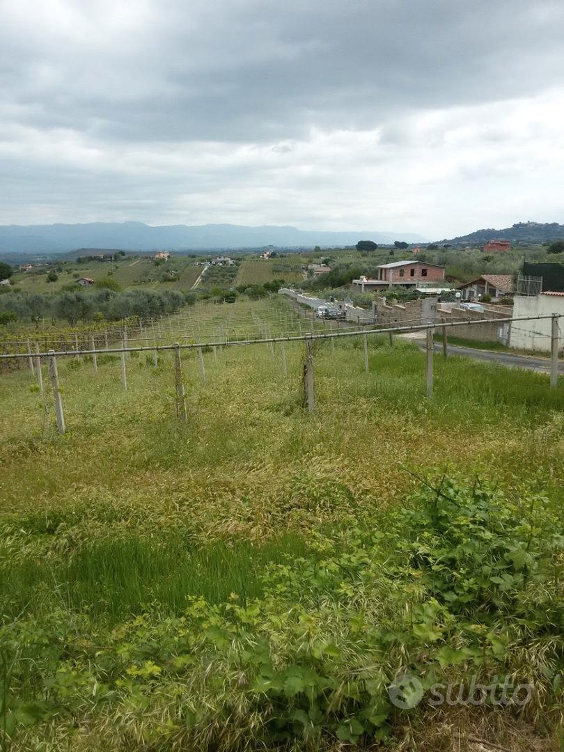 Terreno agricolo Vicolo dei Trugli Roma - Vista 4