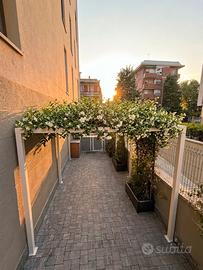 Carport, Tettoie e Gazebi su misura