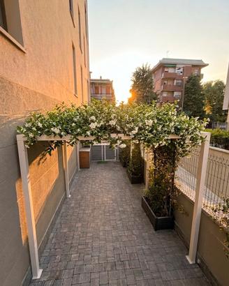 Carport, Tettoie e Gazebi su misura