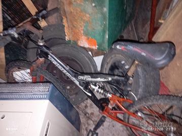 Mountain bike 