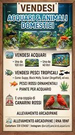 Pesci tropicali e di acqua fredda