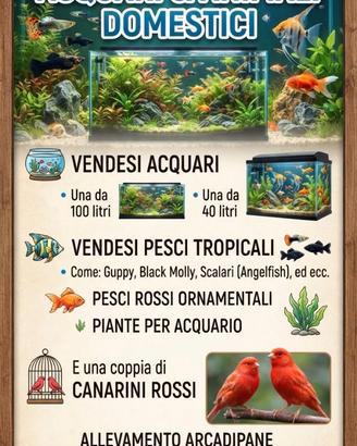Pesci tropicali e di acqua fredda