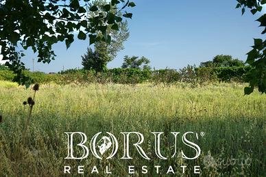 Terreno Agricolo - Frignano