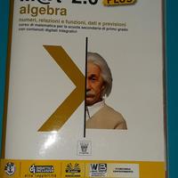 M@t 2.0 PLUS Algebra