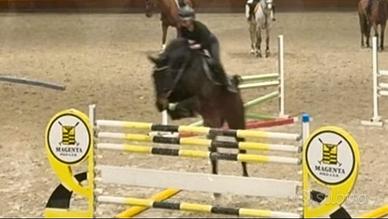 Cavallo da salto ostacoli - Brevetti e Primo Grado