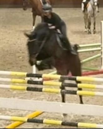 Cavallo da salto ostacoli - Brevetti e Primo Grado