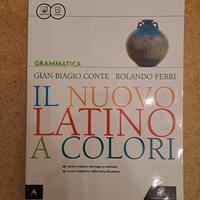 Il nuovo latino a colori - Grammatica 