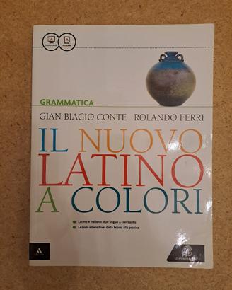 Il nuovo latino a colori - Grammatica 
