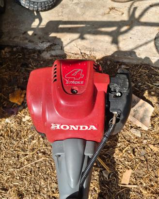decespugliatore Honda 4 tempi