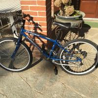 Bici mountain bike