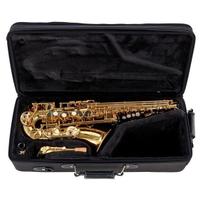 SAX CONTRALTO (sono 2 sax)  + ACCESSORI