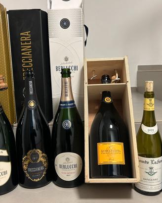 Bottiglie spumanti e champagne VUOTE