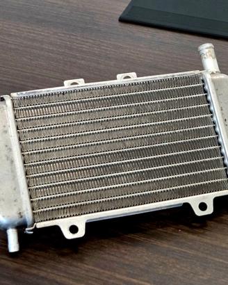 Radiatore ORIGINALE Piaggio Zip Sp 