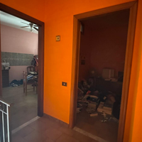 Casetta semi-indipendente