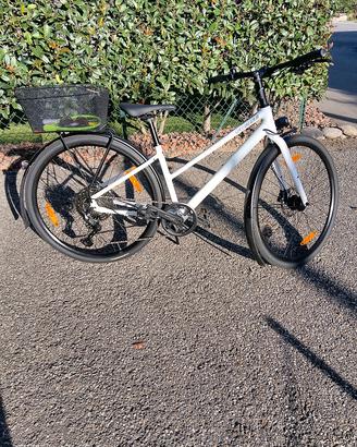 bicicletta SPECIALIZED