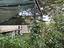 Immagine 28