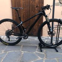 MTB FOCUS RAVEN 29