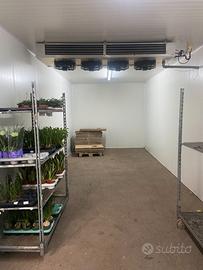 Cella frigorifera positiva per fiori recisi