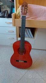 Chitarra Eko CS 10 
