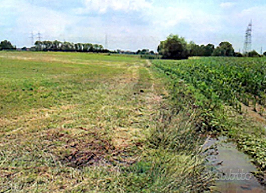 VERDERIO: TERRENO agricolo - Vista 5
