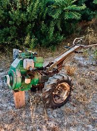 Motocoltivatore Goldoni 14cv