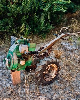 Motocoltivatore Goldoni 14cv