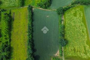 TER. AGRICOLO A MASATE