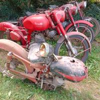 Benelli Leoncino e ricambi