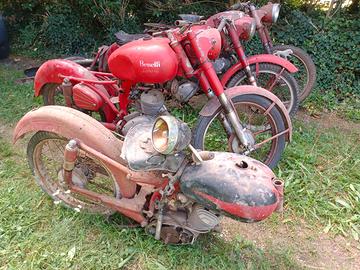 Benelli Leoncino e ricambi