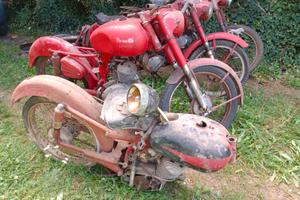 Benelli Leoncino e ricambi