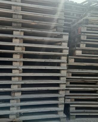 pallet tipo Epal e non