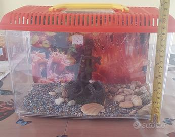 Acquario di plastica piu' eventuale filtro