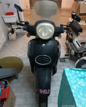 125 scarabeo