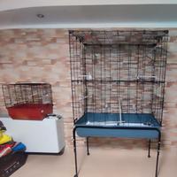Gabbie per canarini