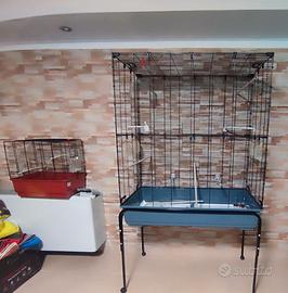 Gabbie per canarini