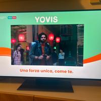Smart tv LG - QNED 50 “ - nuova garanzia