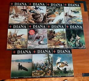 Diana rivista del cacciatore vintage 1967  lotto