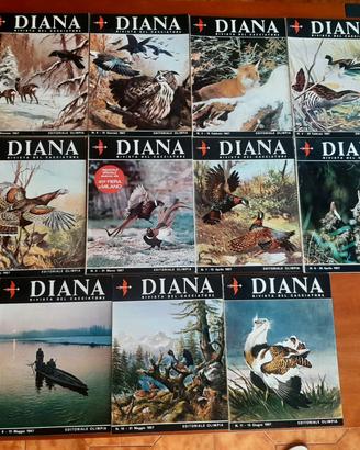 Diana rivista del cacciatore vintage 1967  lotto