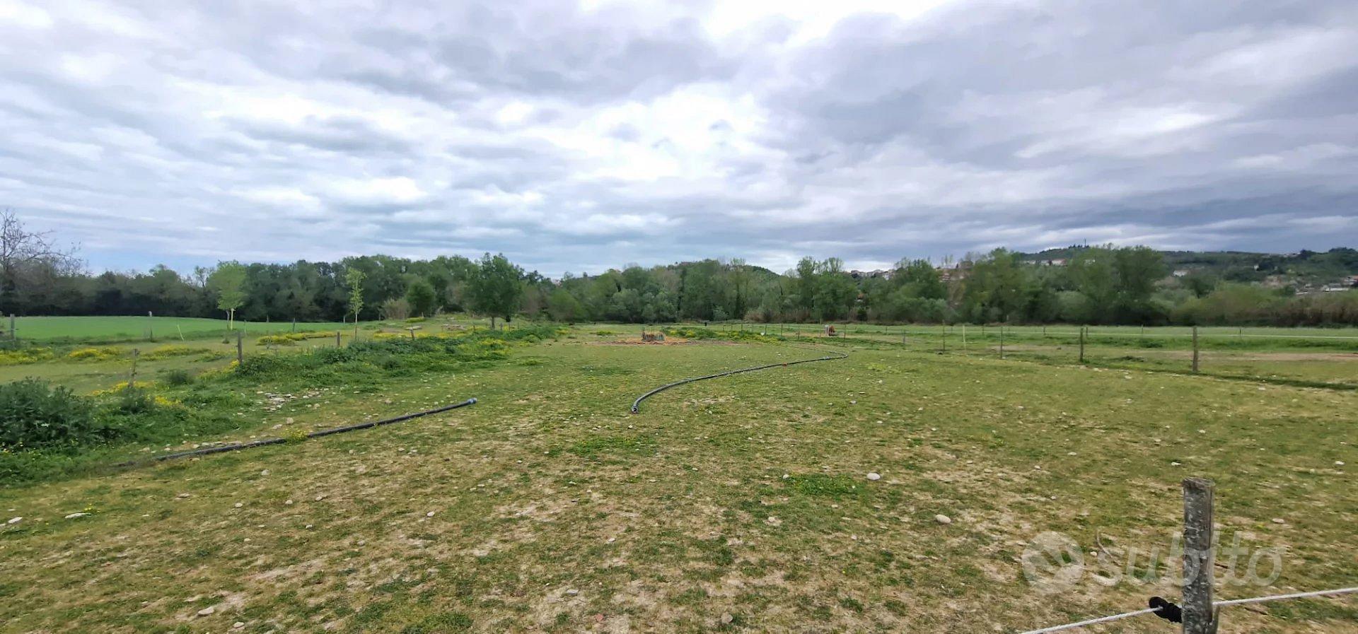 TERRENO AGRICOLO CONGIUNTI - Vista 2