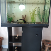 Acquario 120 litri